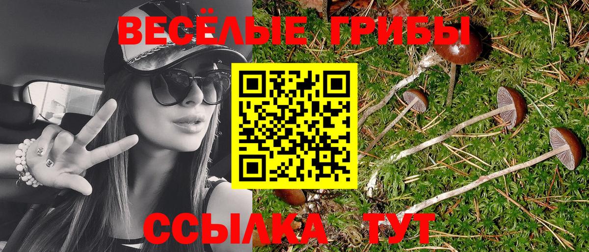 Галлюциногенные грибы мицелий Саратов
